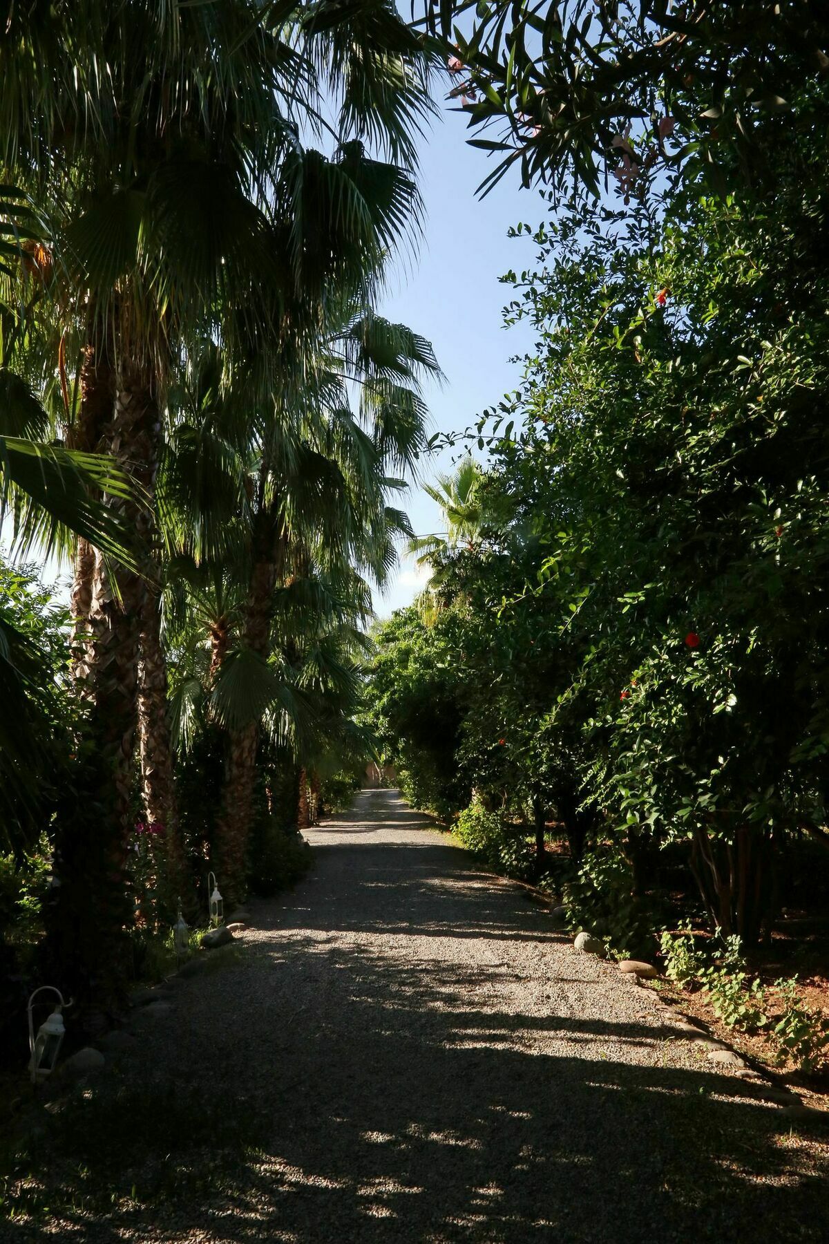 Le Bled Ferme Bed & Breakfast Lahebichate Bagian luar foto
